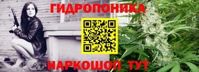 альфа пвп Аргун
