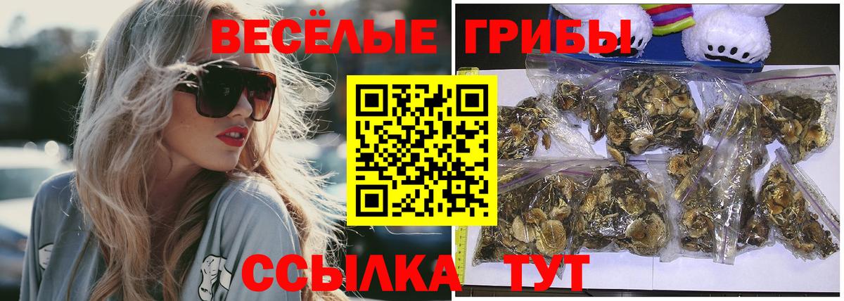 Псилоцибиновые грибы мухоморы Берёзовский