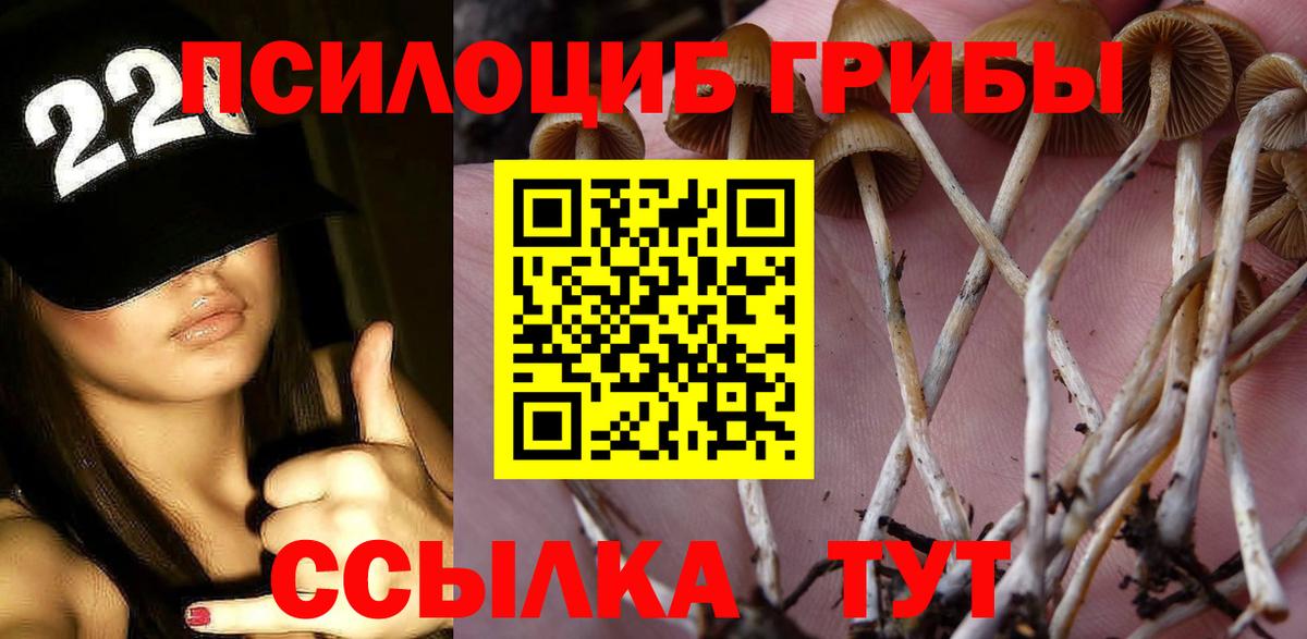 Берёзовский  Галлюциногенные грибы ЛСД  Вход с VPN 